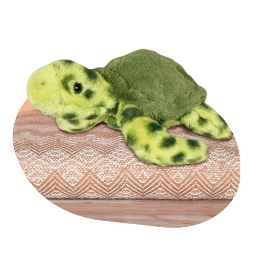 Sea turtle plushie styled angled view.