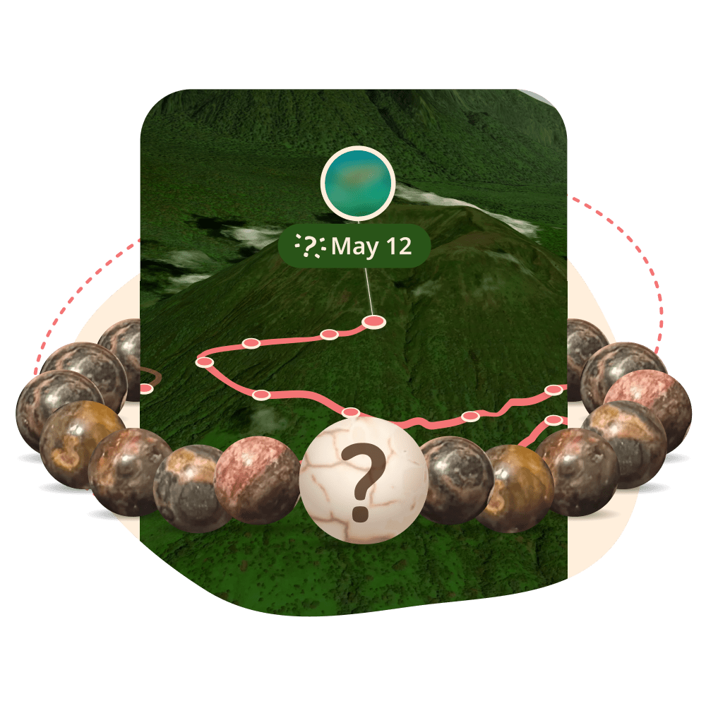 The Mystery Bracelet - 3