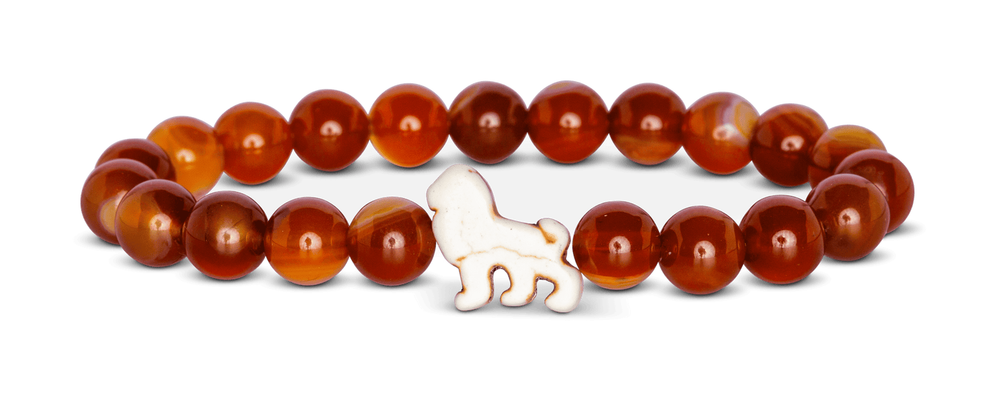 The Excursion Bracelet