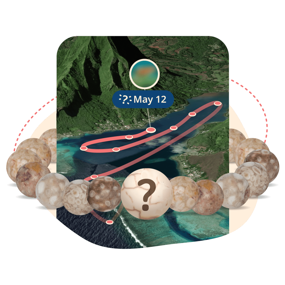The Mystery Bracelet - 5
