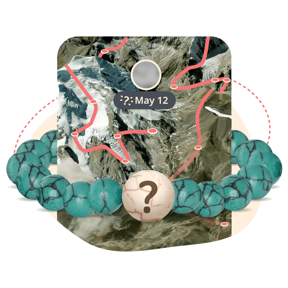 The Mystery Bracelet - 2