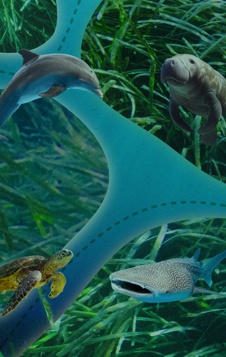 Track in Seagrass Green