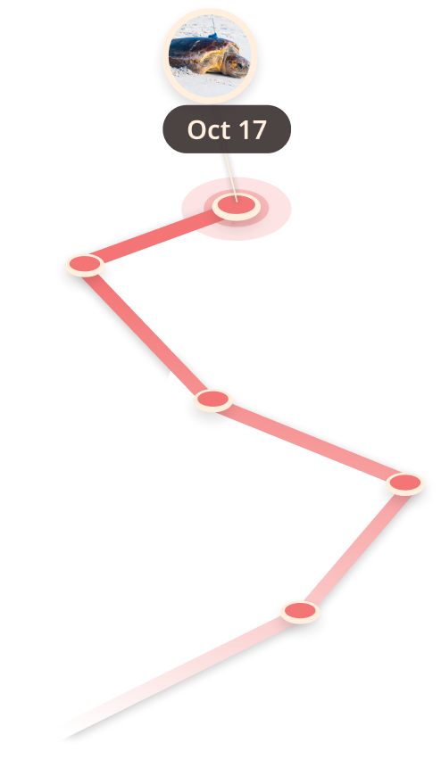 Path image of a map