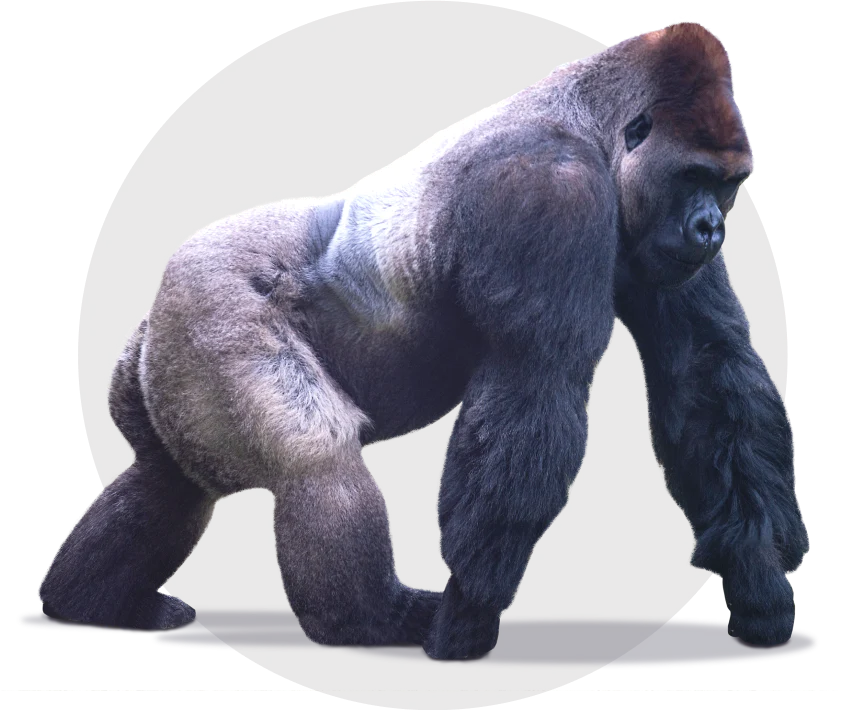 common question image