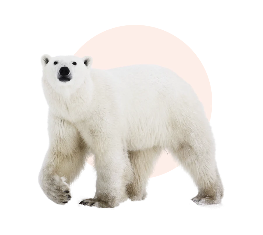 common question image