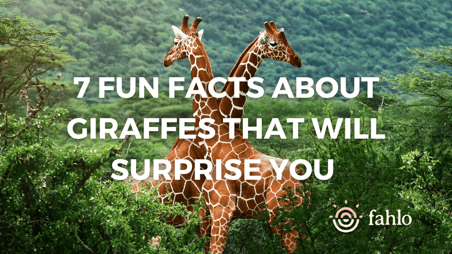 7 Fun Facts About Giraffes That Will Surprise You