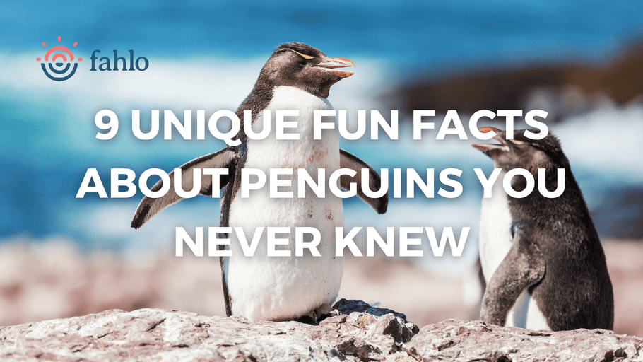 9 Unique Fun Facts About Penguins You Never Knew