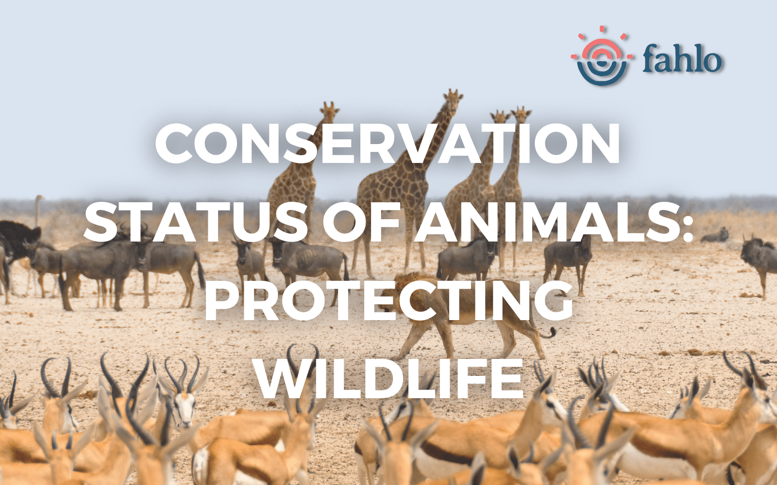 Conservation Status of Animals: Protecting Beloved Wildlife | Fahlo