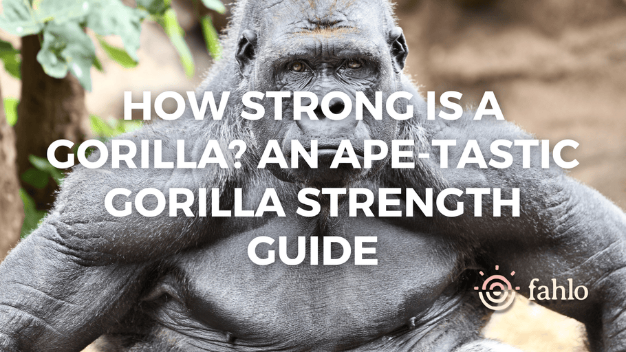 How Strong Is A Gorilla? An Ape-Tastic Gorilla Strength Guide