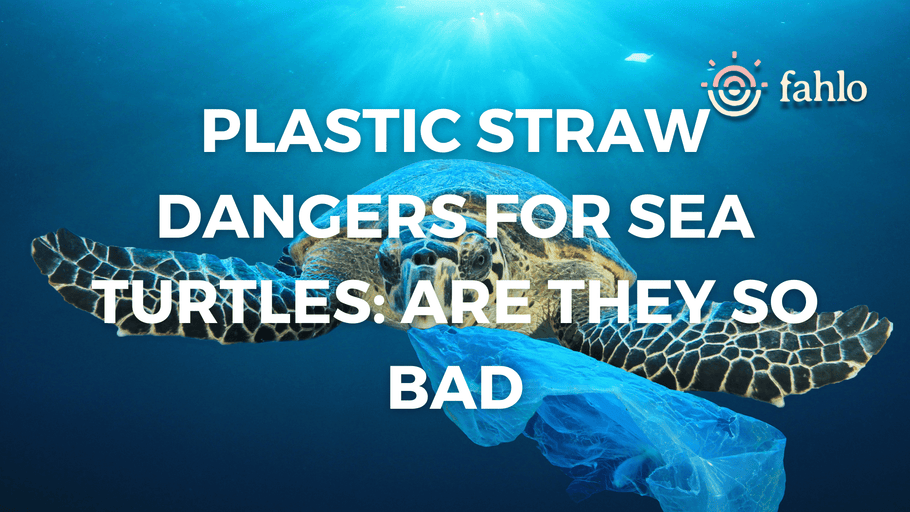 Plastic Straw: Dangers for Sea Turtles