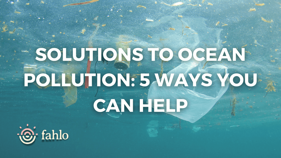 Solutions To Ocean Pollution: 5 Ways You Can Help