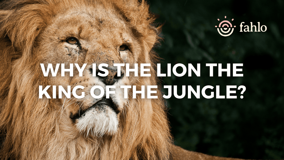 Why Is The Lion The King Of The Jungle?
