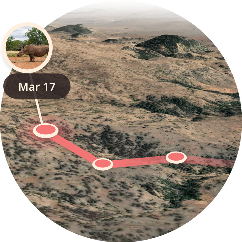 detail caption image three