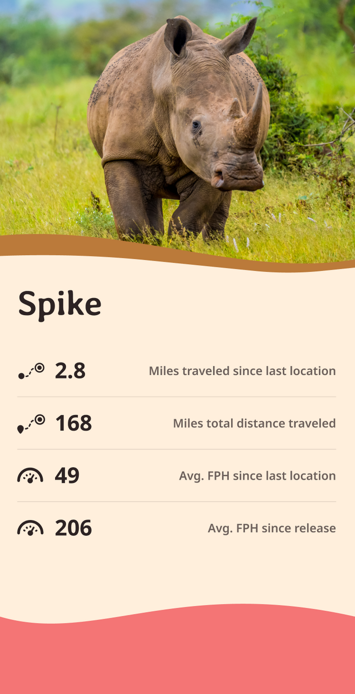 rhino app about content body image