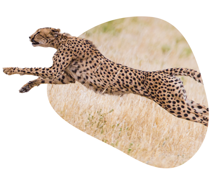 common question image