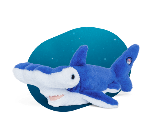 The Hammerhead Plush