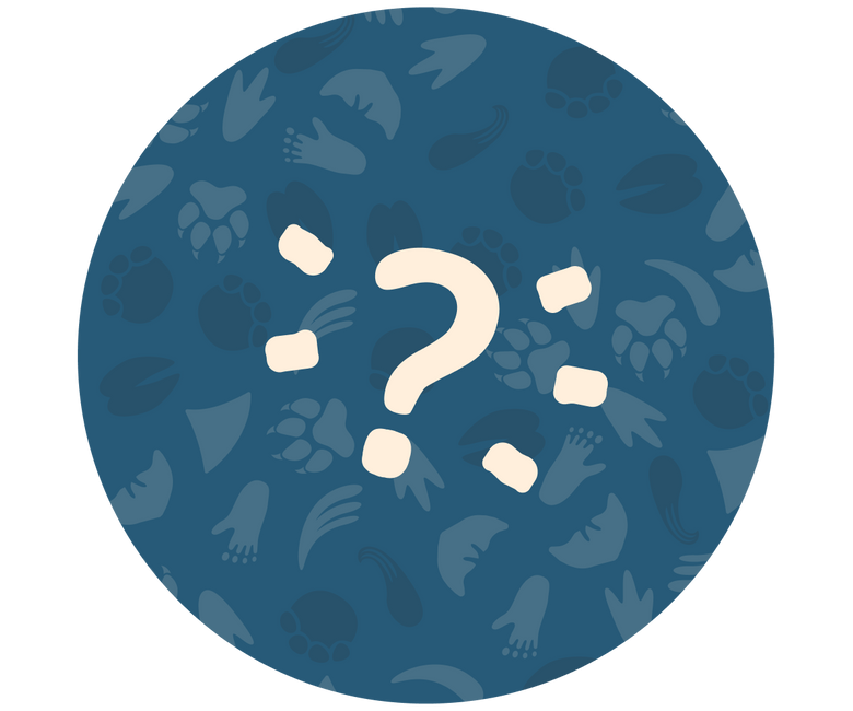 common question image