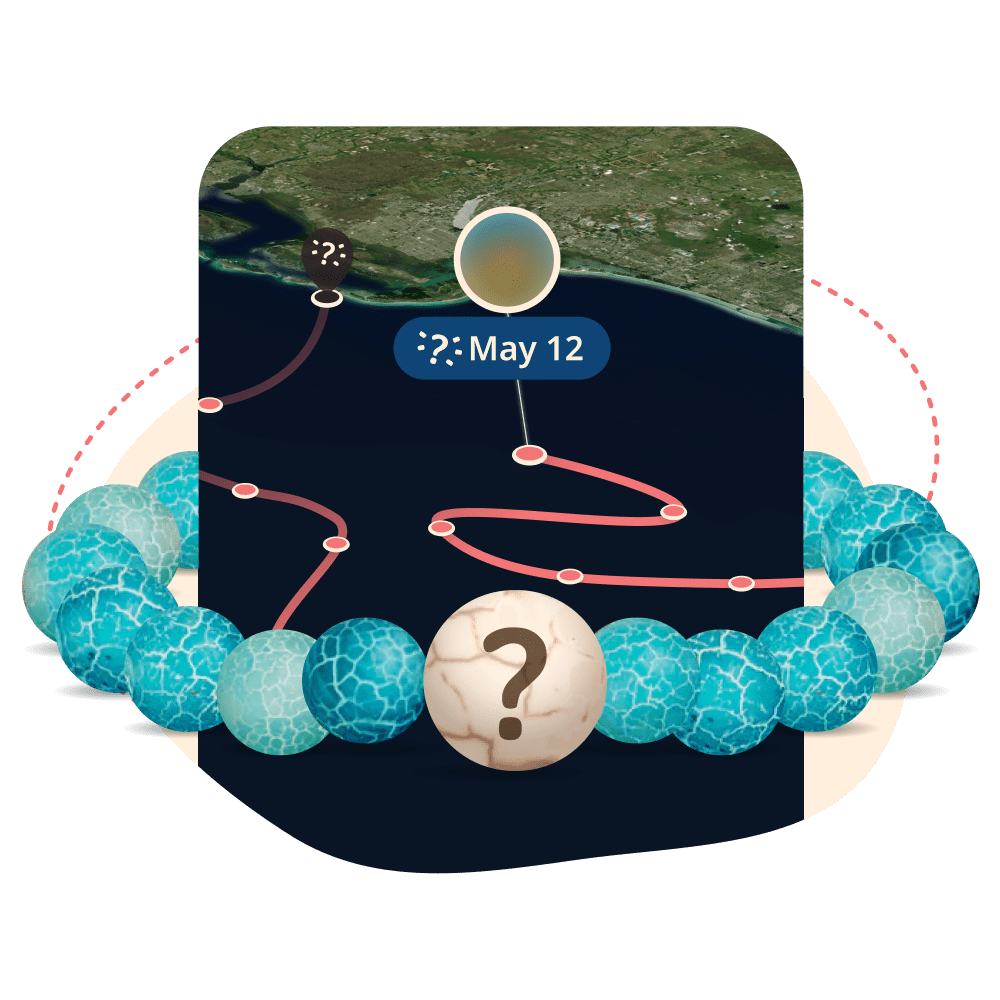 The Mystery Bracelet - Aqua Blue
