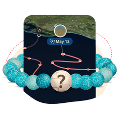 The Mystery Bracelet - Aqua Blue