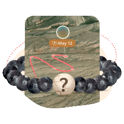 The Mystery Bracelet - Black Ice