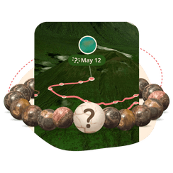 The Mystery Bracelet - Canyon Stone