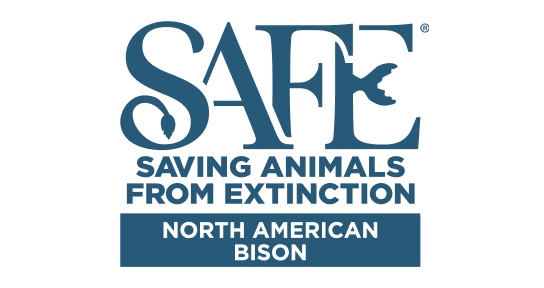Saving Animals From Extinction North American Bison Logo