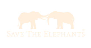 the World's Largest Land Animal