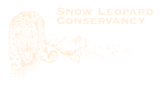 the Ghost of the Mountains