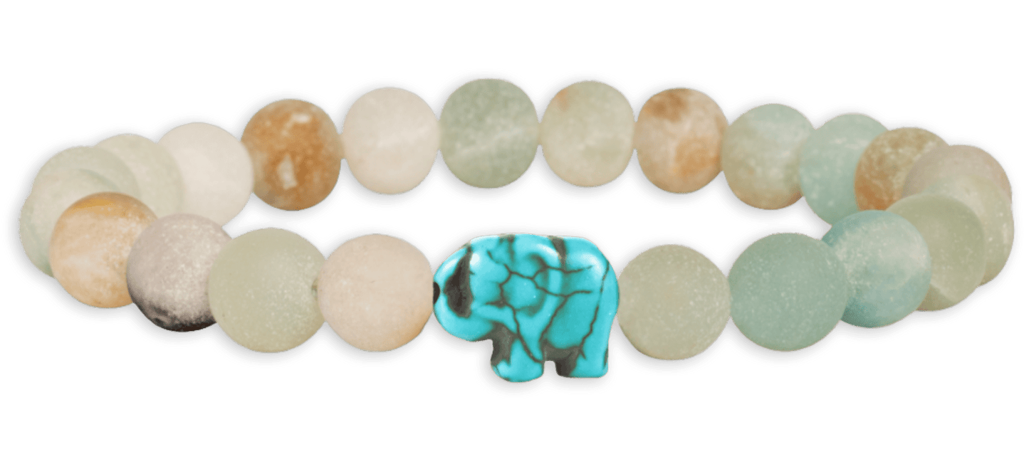 The Expedition Bracelet
