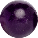 Echo Purple