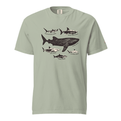 Fahlo Shark Species T-Shirt Bay