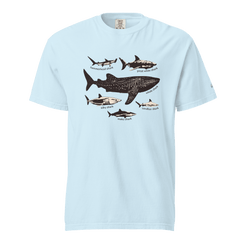 Fahlo Shark Species T-Shirt Chambray