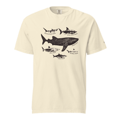 Fahlo Shark Species T-Shirt Ivory