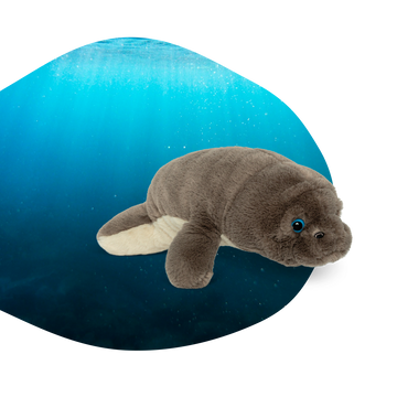 The Drift Plush