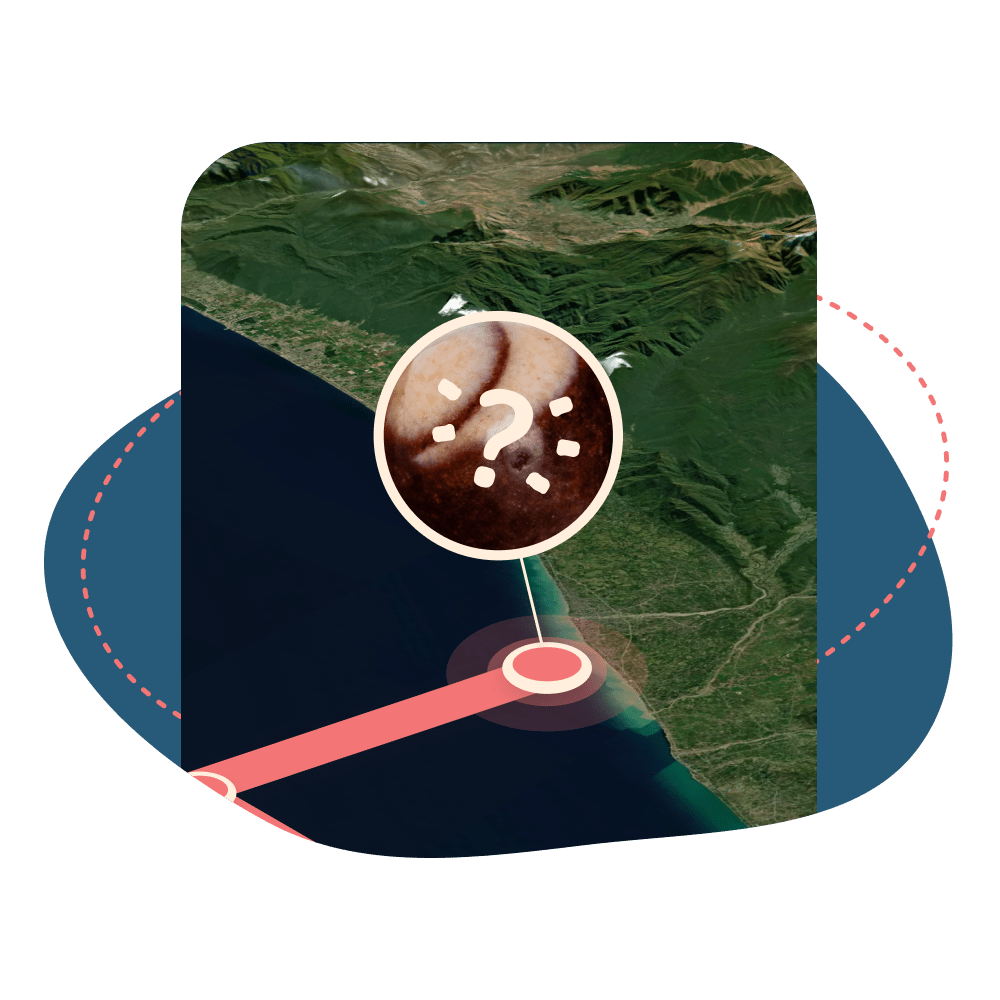 The Mystery Bracelet