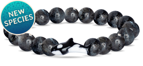 Orca Tracking Bracelet