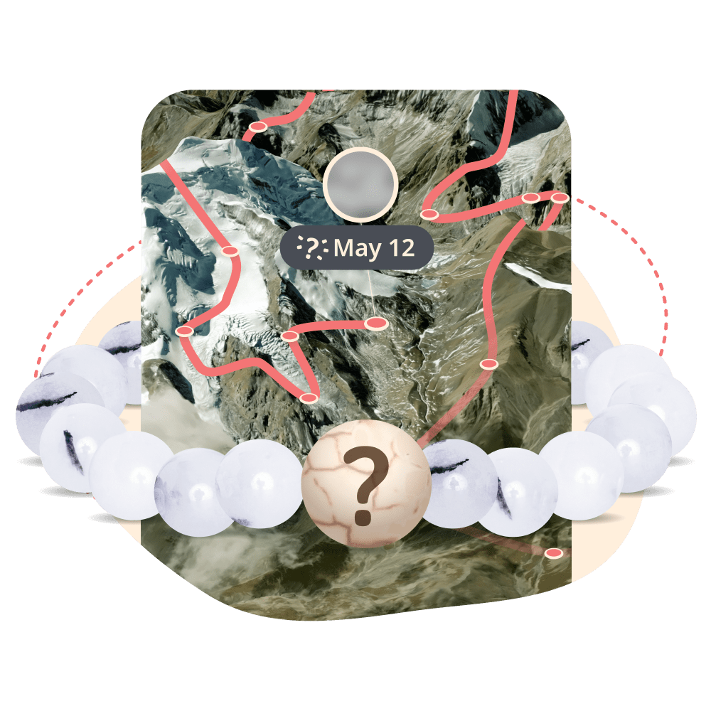 The Mystery Bracelet - Salt Stone