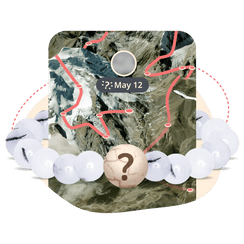 The Mystery Bracelet - Salt Stone