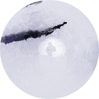 Salt Stone