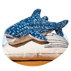 The Quest Plush