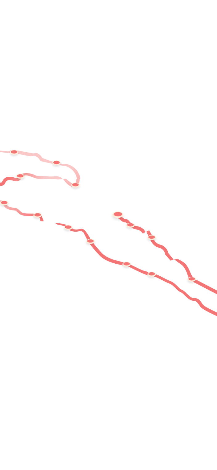 tracking path on world map