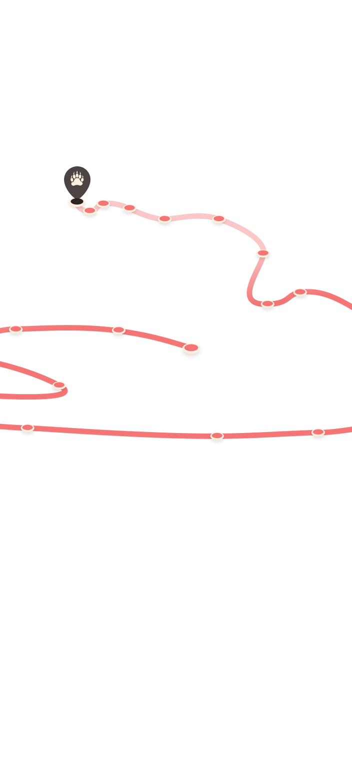 tracking path on world map