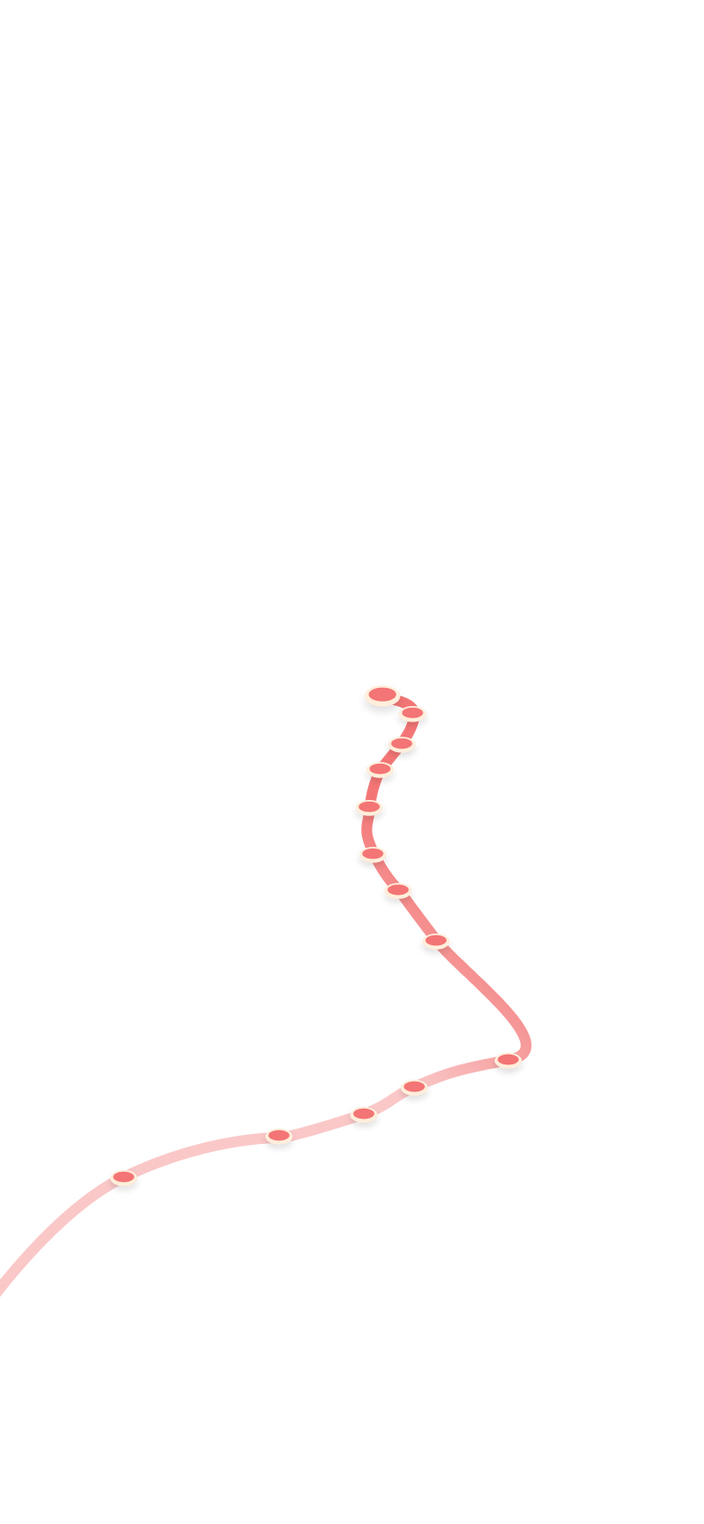 tracking path on world map