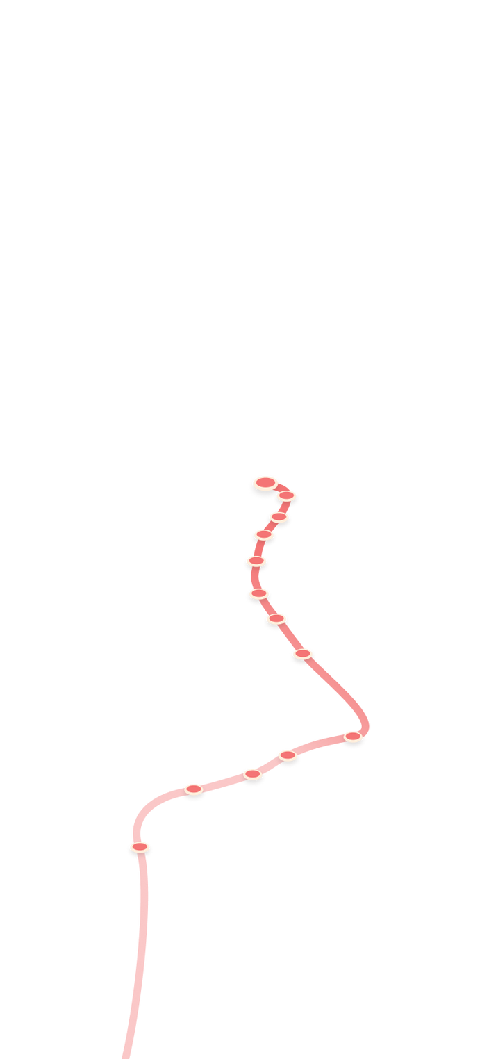 tracking path on world map