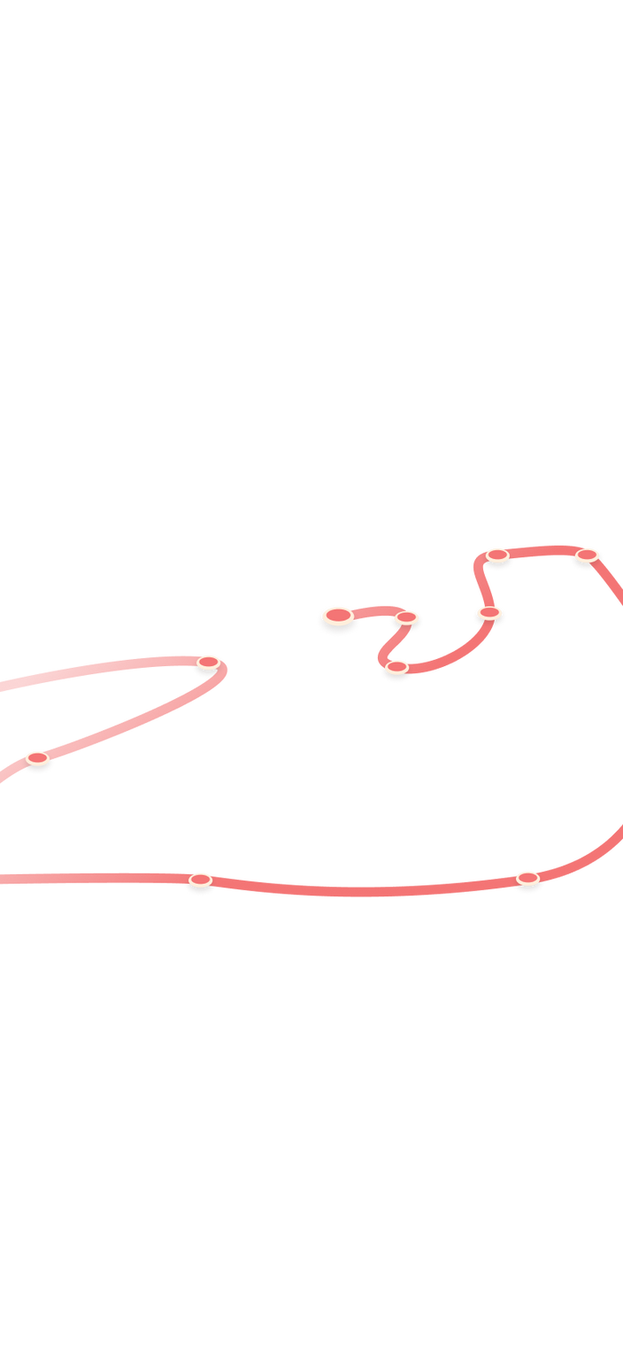 tracking path on world map
