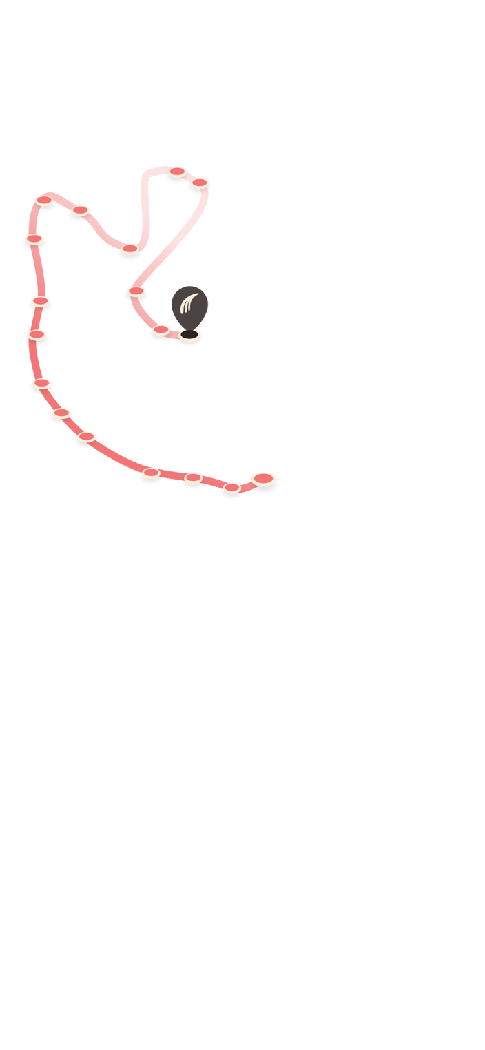 tracking path on world map
