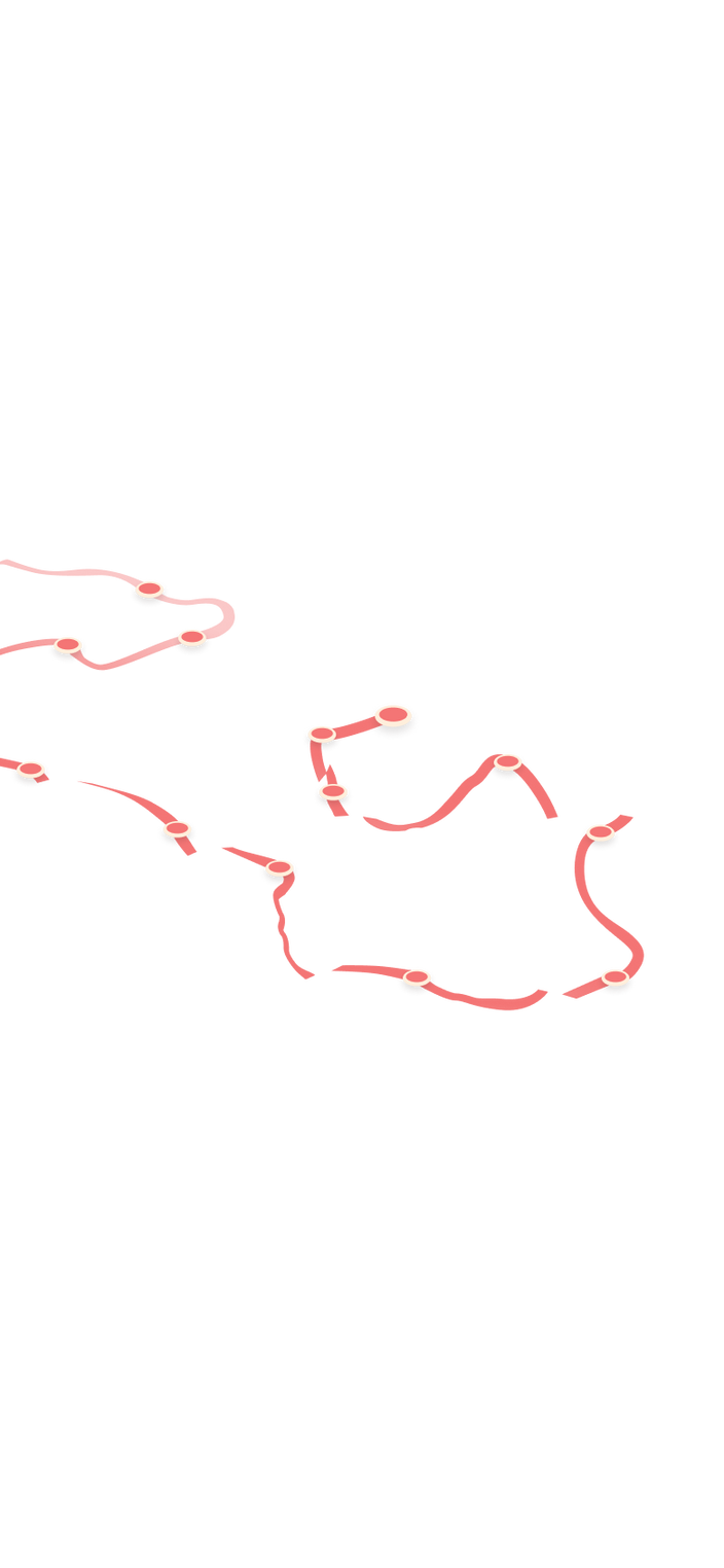 tracking path on world map