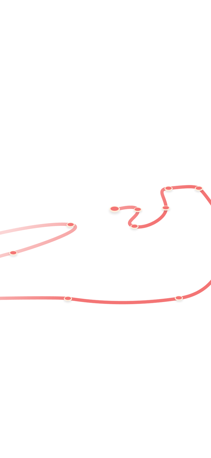 tracking path on world map