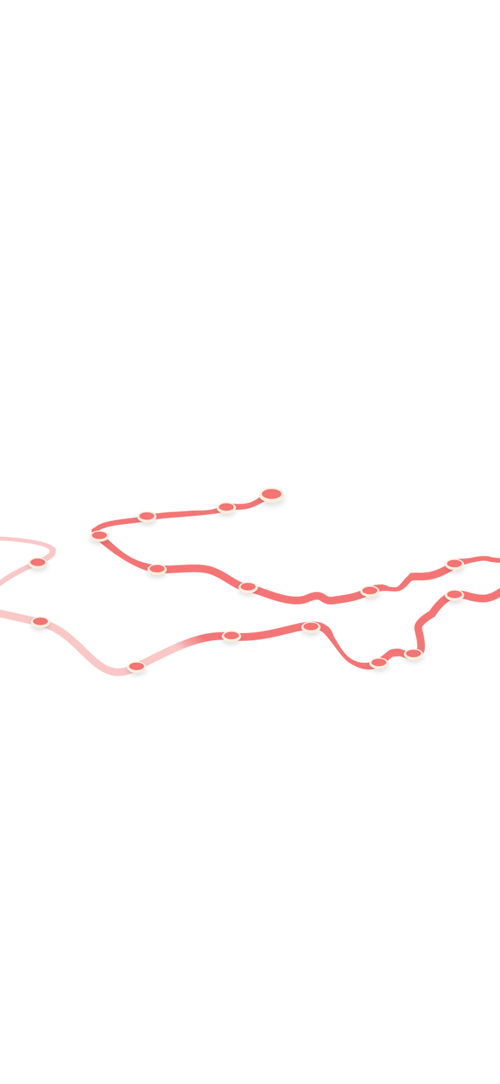 tracking path on world map