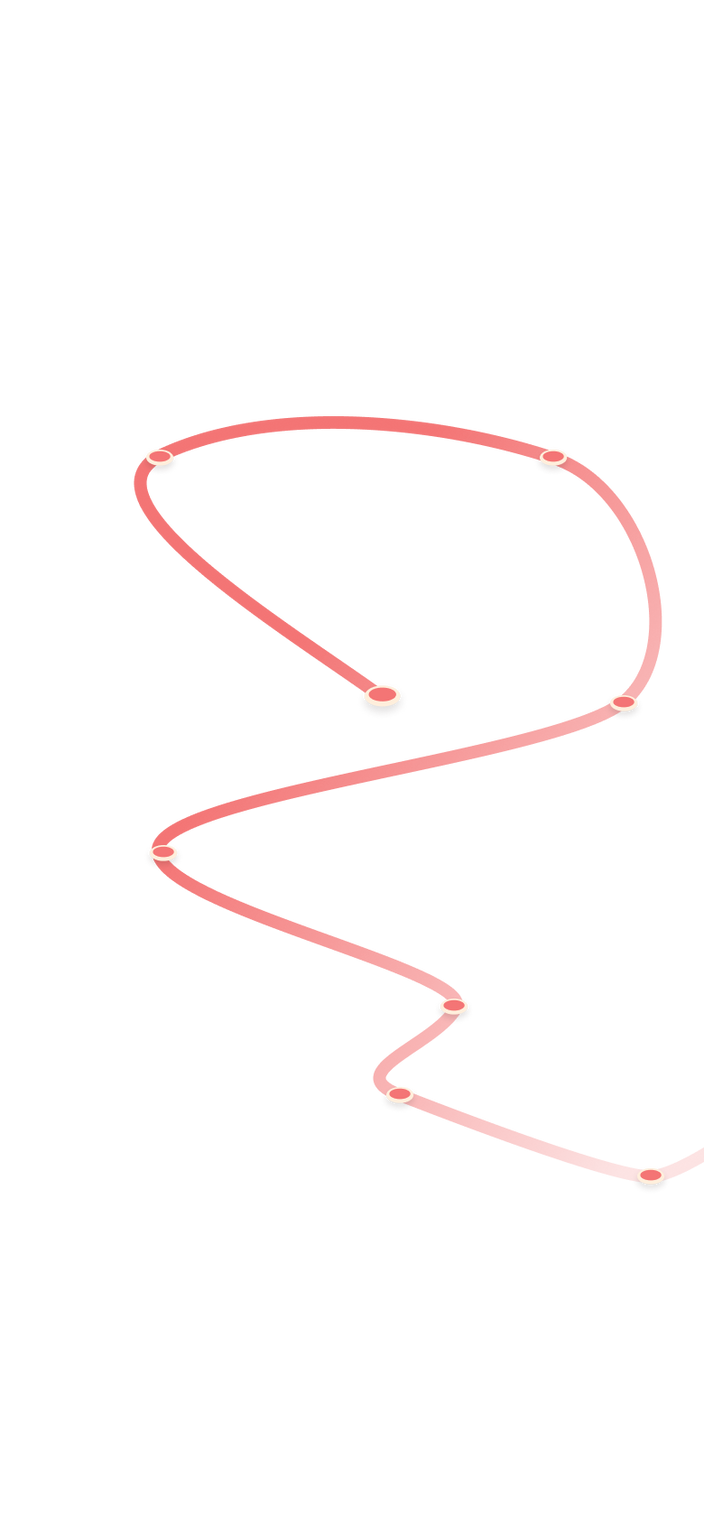 tracking path on world map